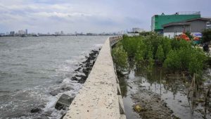 Tanggul laut raksasa, Giant Sea Wall