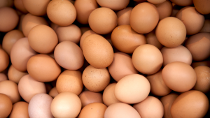 Sering Makan Telur Ini 6 Manfaatnya untuk Otak!