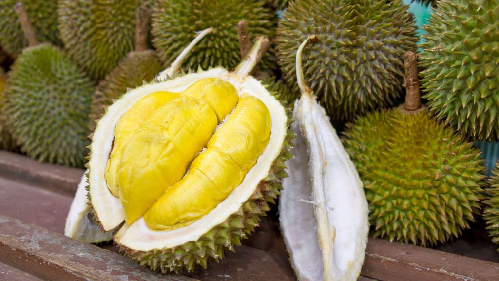Kampung Durian Banjaroya, Destinasi Wajib buat Pencinta Durian di Kulon Progo