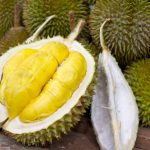 Kampung Durian Banjaroya, Destinasi Wajib buat Pencinta Durian di Kulon Progo