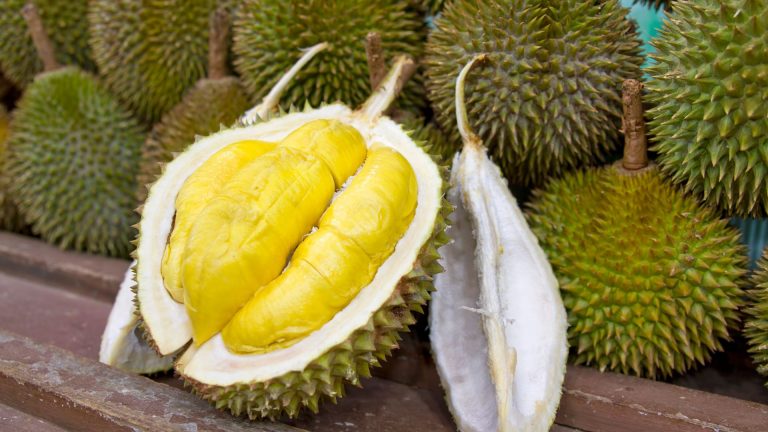 Kampung Durian Banjaroya, Destinasi Wajib buat Pencinta Durian di Kulon Progo